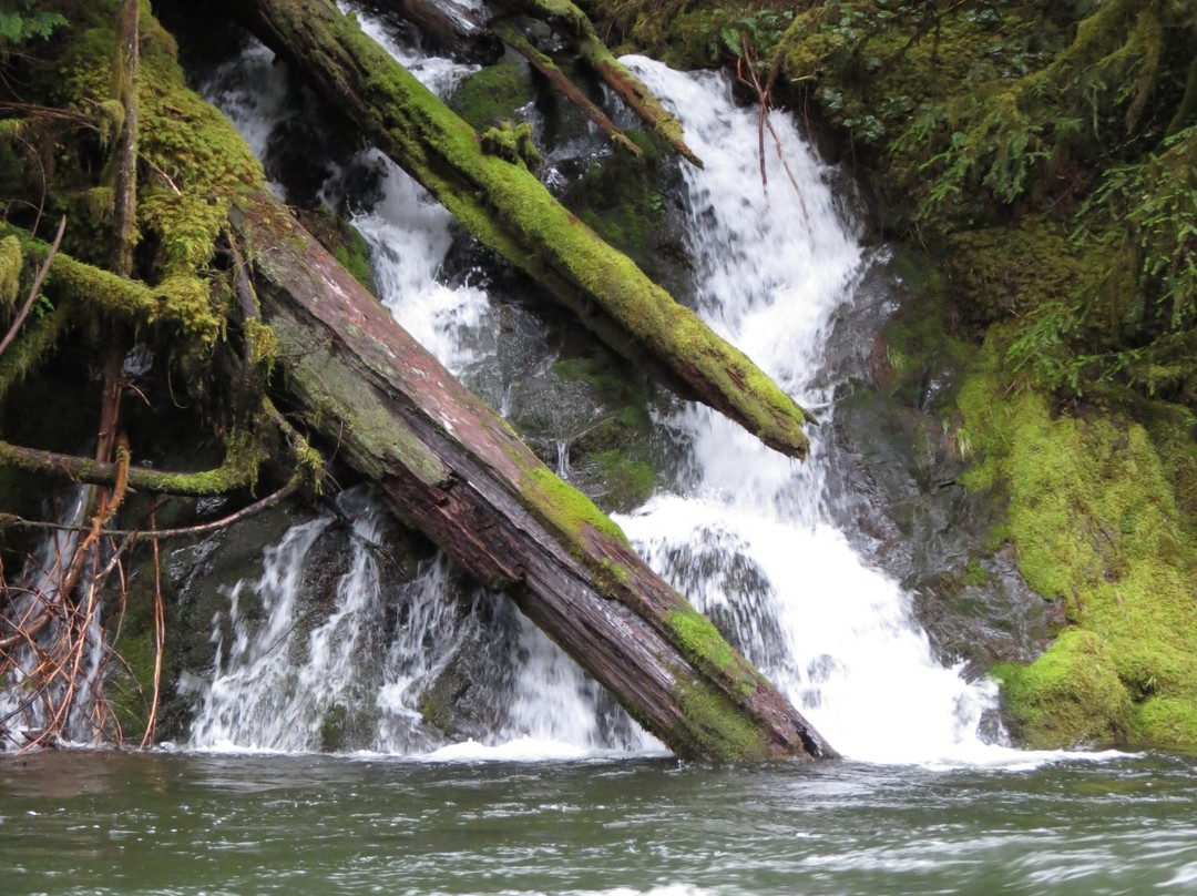 Salmon-Huckleberry Wilderness景点图片