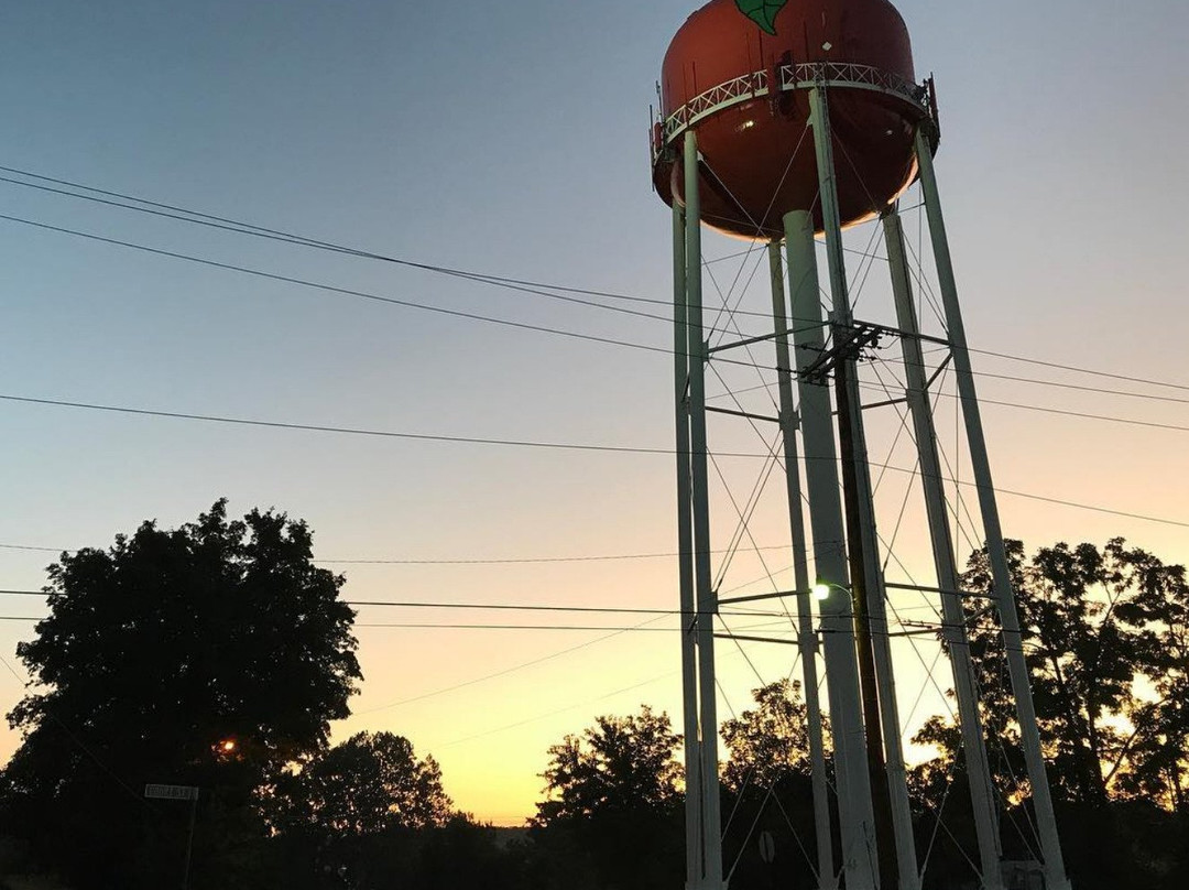 Apple Water Tower景点图片