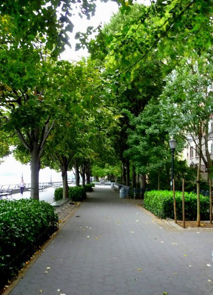 SeaGlass Carousel-纽约市必去景点