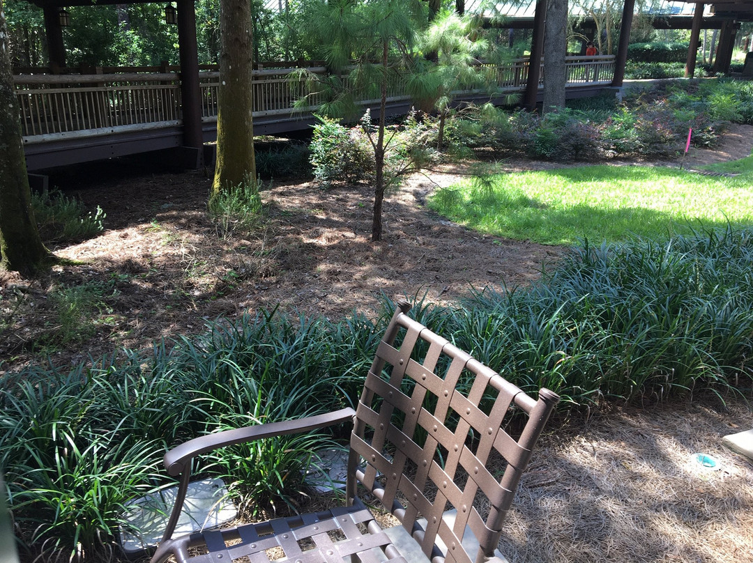 迪士尼怀尔德尼斯别墅旅馆主图