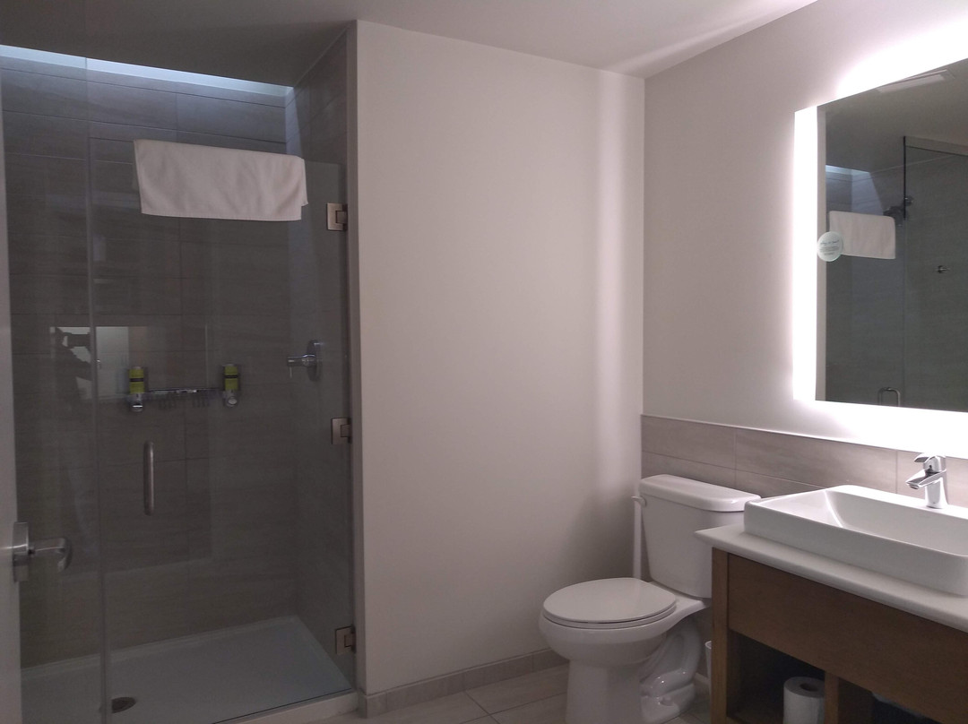 Element Detroit At The Metropolitan主图