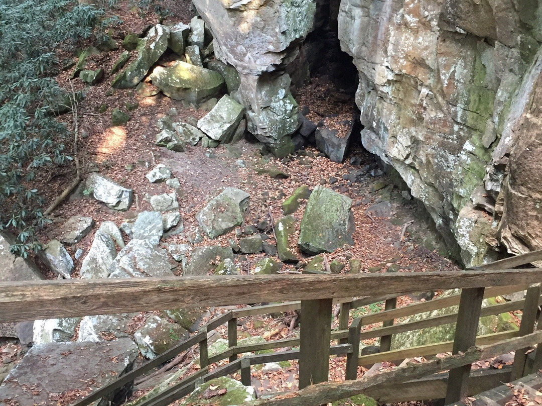 Split Bow Arch景点图片