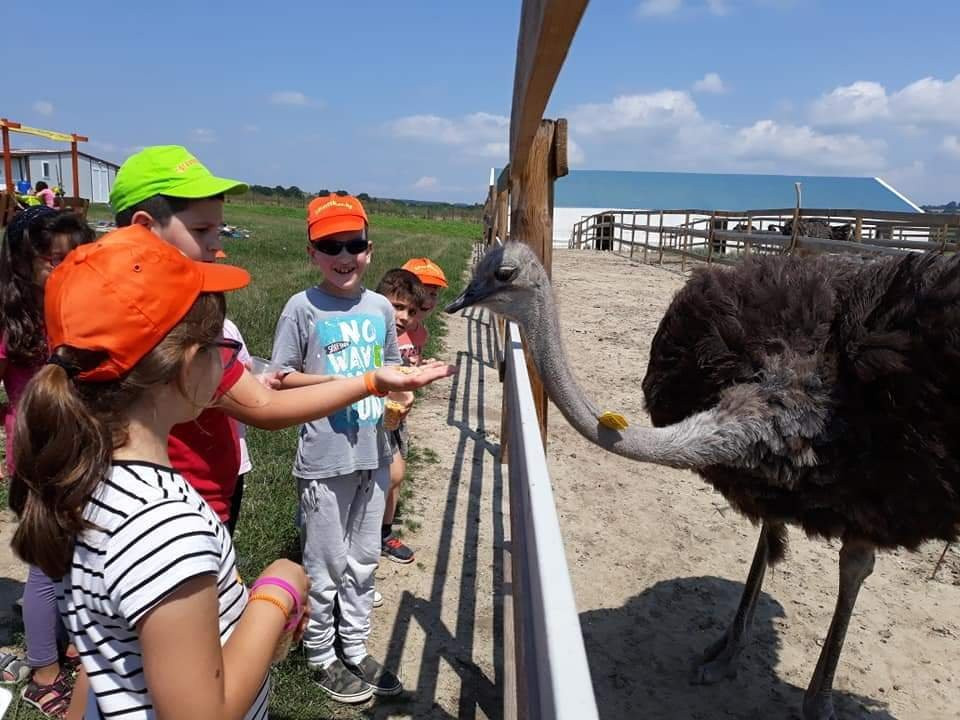 Ostrich Ranch-Ravna Gora必去景点