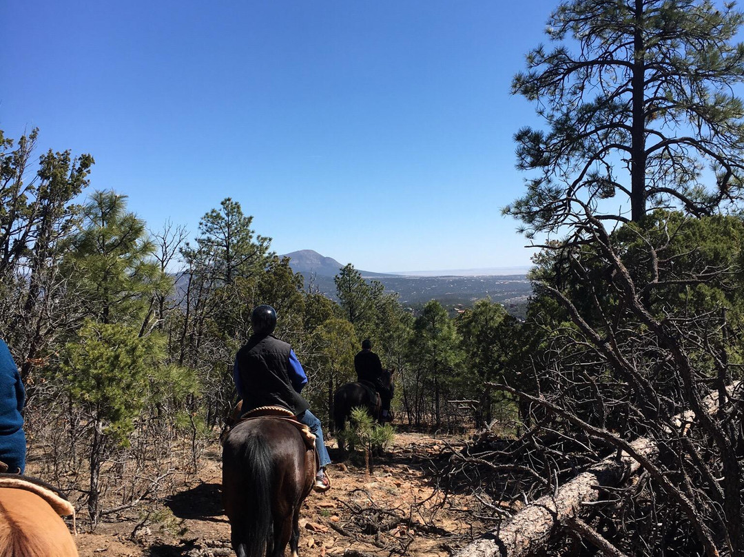 Cedar Crest Country Cottage and Stables
