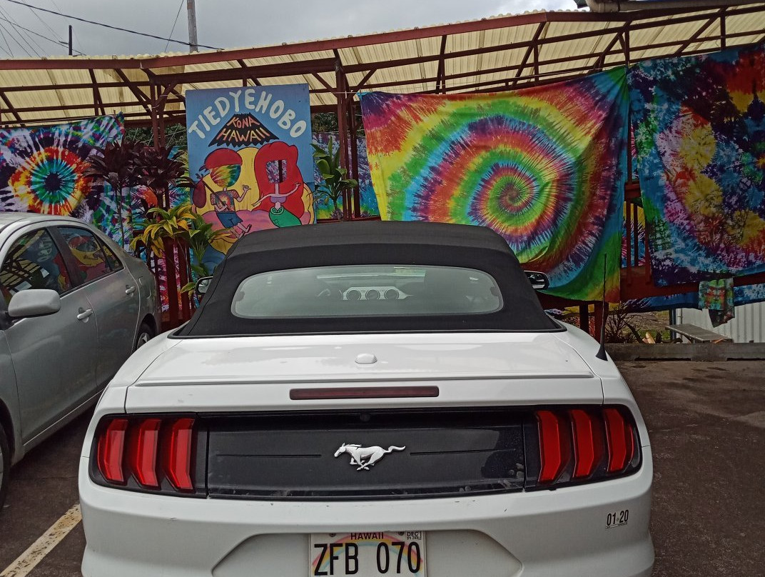 Tie Dye Hobo-库克船长必去景点