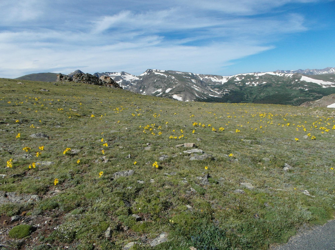 Tundra Communities Trail景点图片