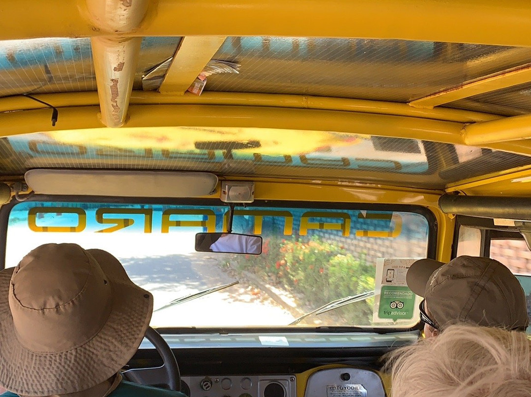 Pipa Aventura-Tibau do Sul必去景点