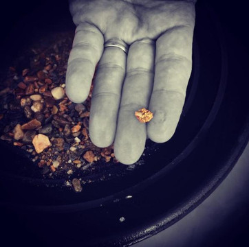 福克斯旅游景点-Gold Daughters Alaska