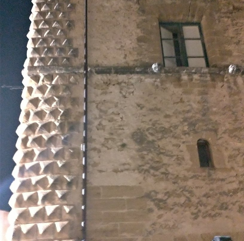 Palazzo Steripinto景点图片