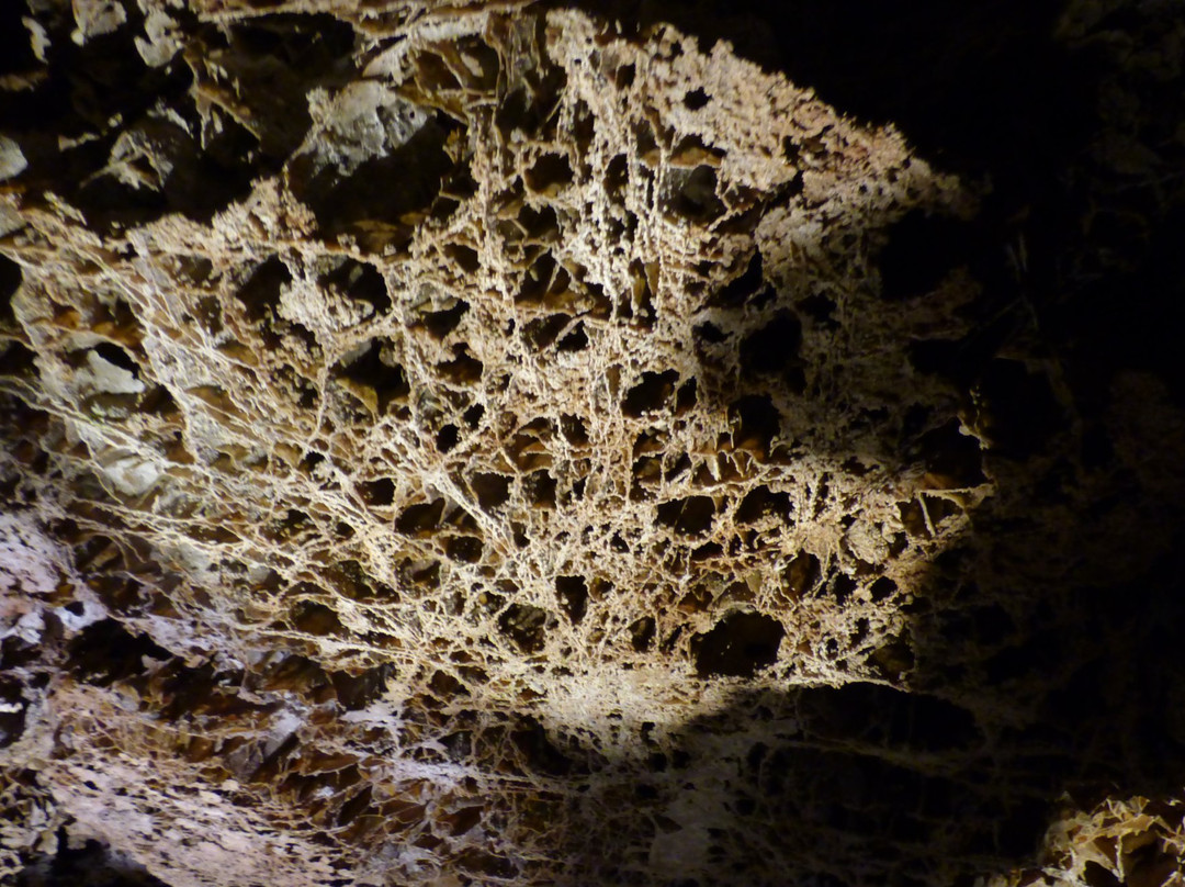 Wind Cave National Park