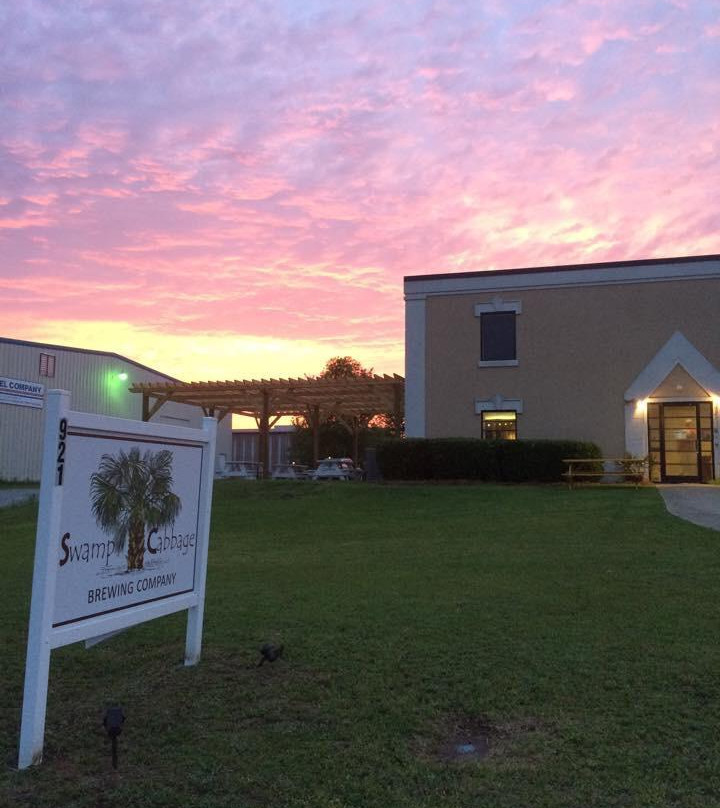 Swansea旅游景点-Swamp Cabbage