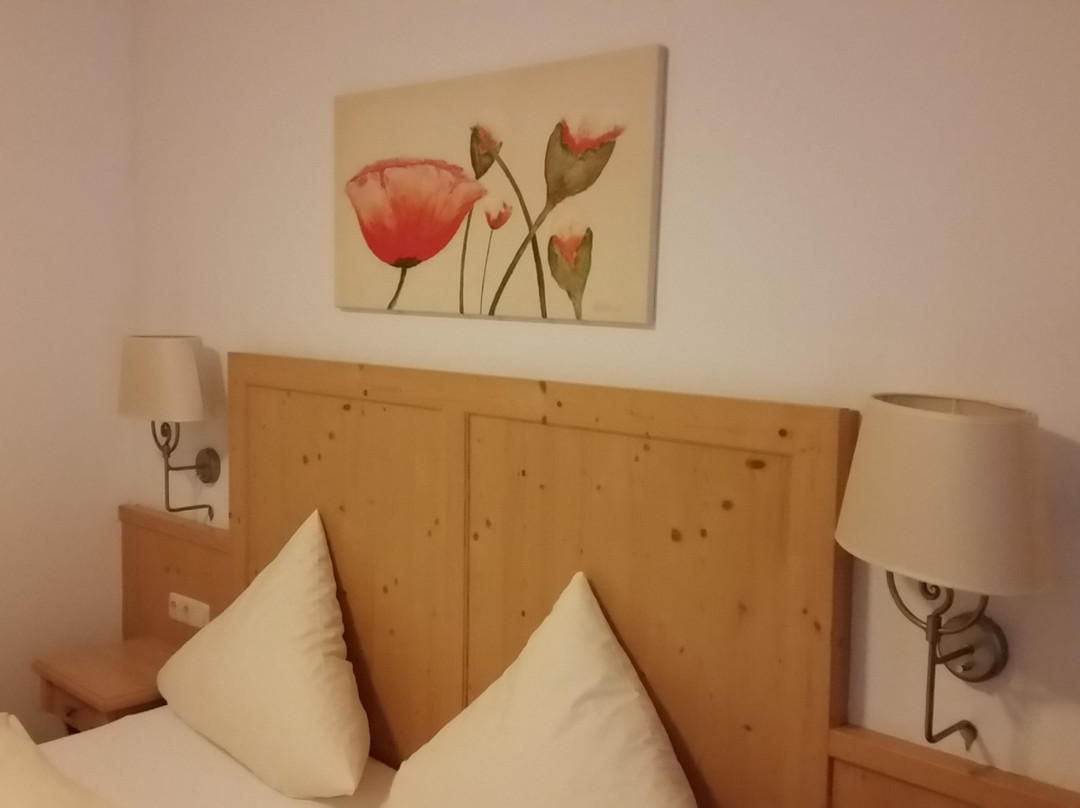 Pension Johann Schmid主图