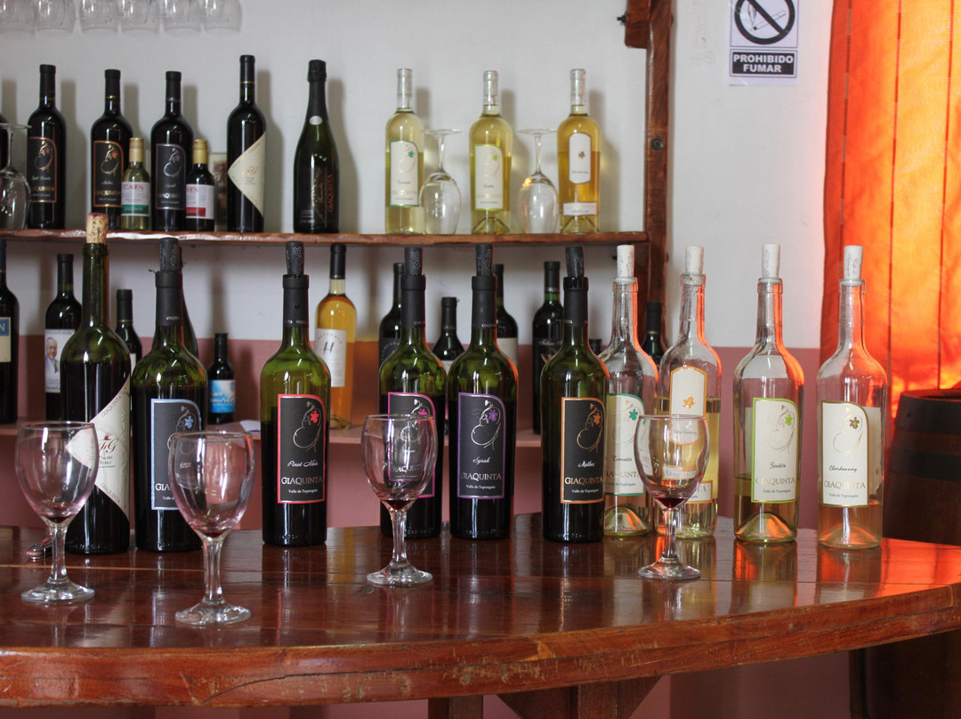 Bodega Familia Giaquinta景点图片