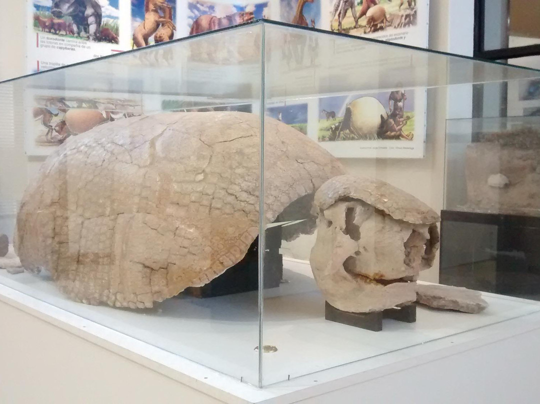 Museo Don Santos Tosticarelli景点图片