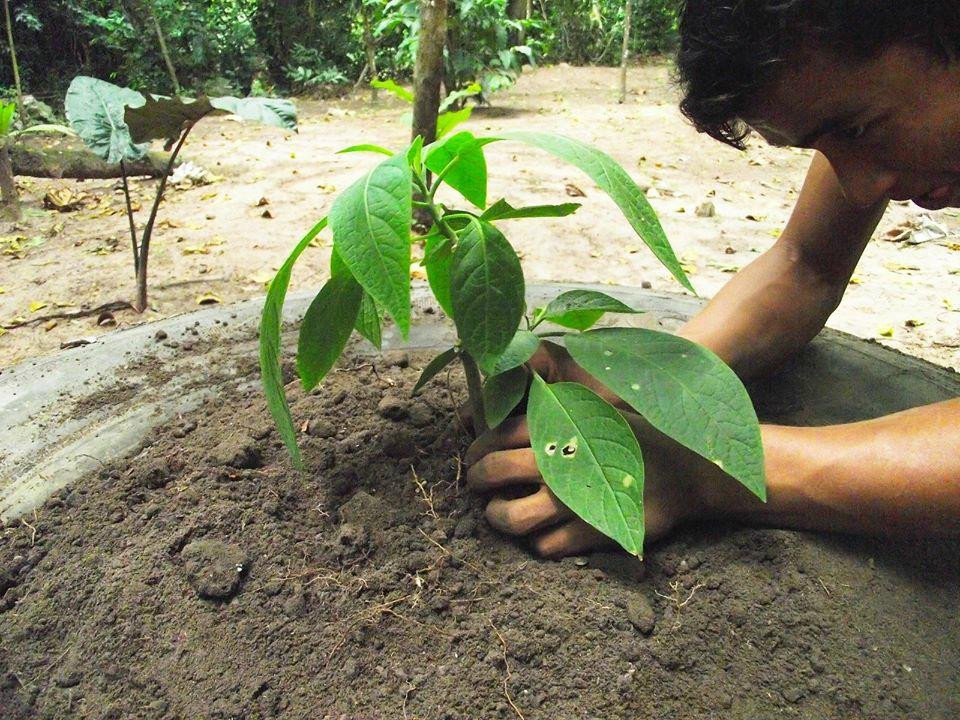 El Jardin del Wawki-Tarapoto必去景点