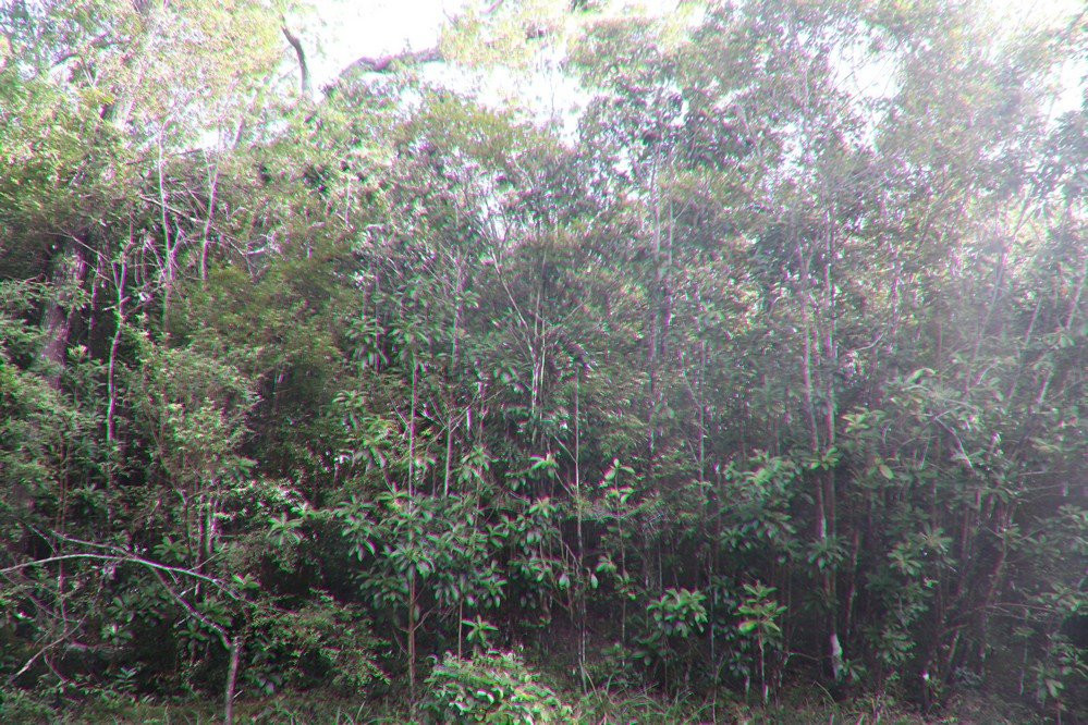 Le sentier de Deville-Maisoncelle-Petit-Canal必去景点