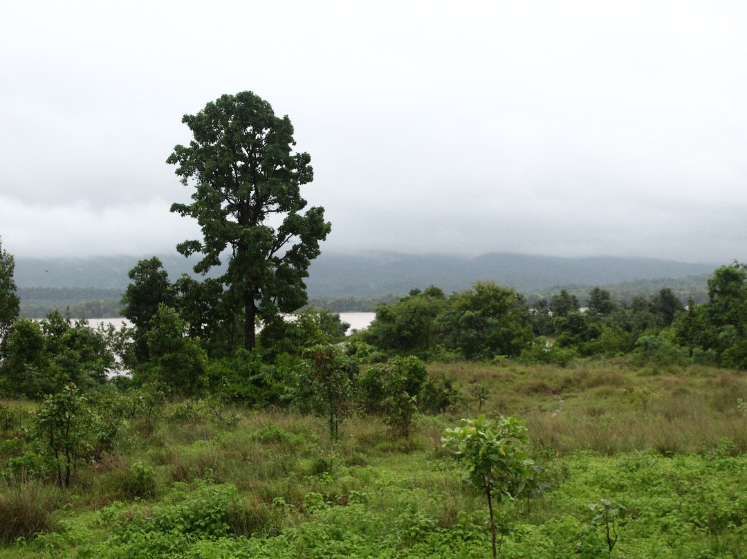 Pugdundee Safari- Denwa Backwater Escape主图