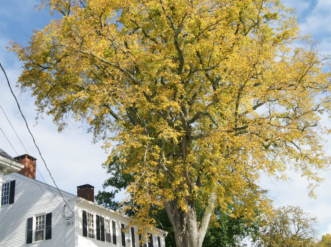 Pentagöet Inn & Pub主图