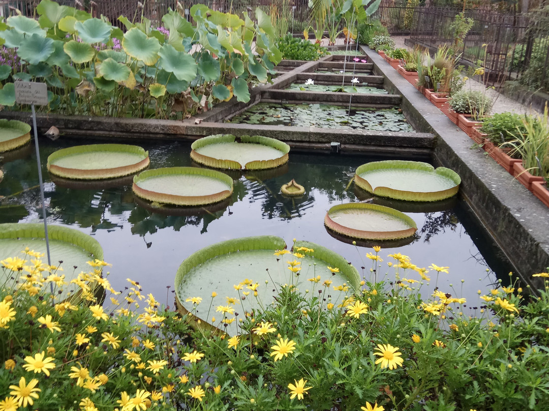 Orto Botanico 1545-帕多瓦必去景点