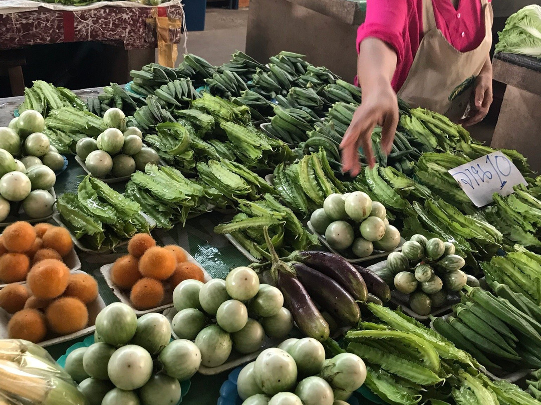 Thai Garden Farm Cooking Classes-讪柿必去景点