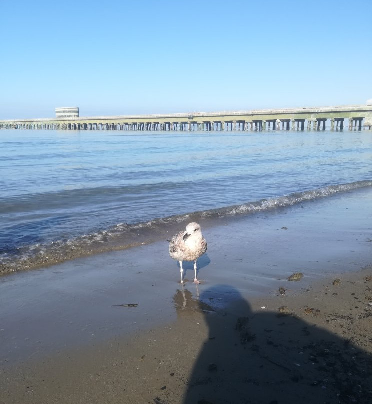 Beach La Polveriera-斯卡尔利诺必去景点