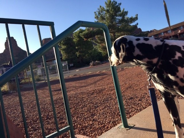 Sedona Village Lodge主图