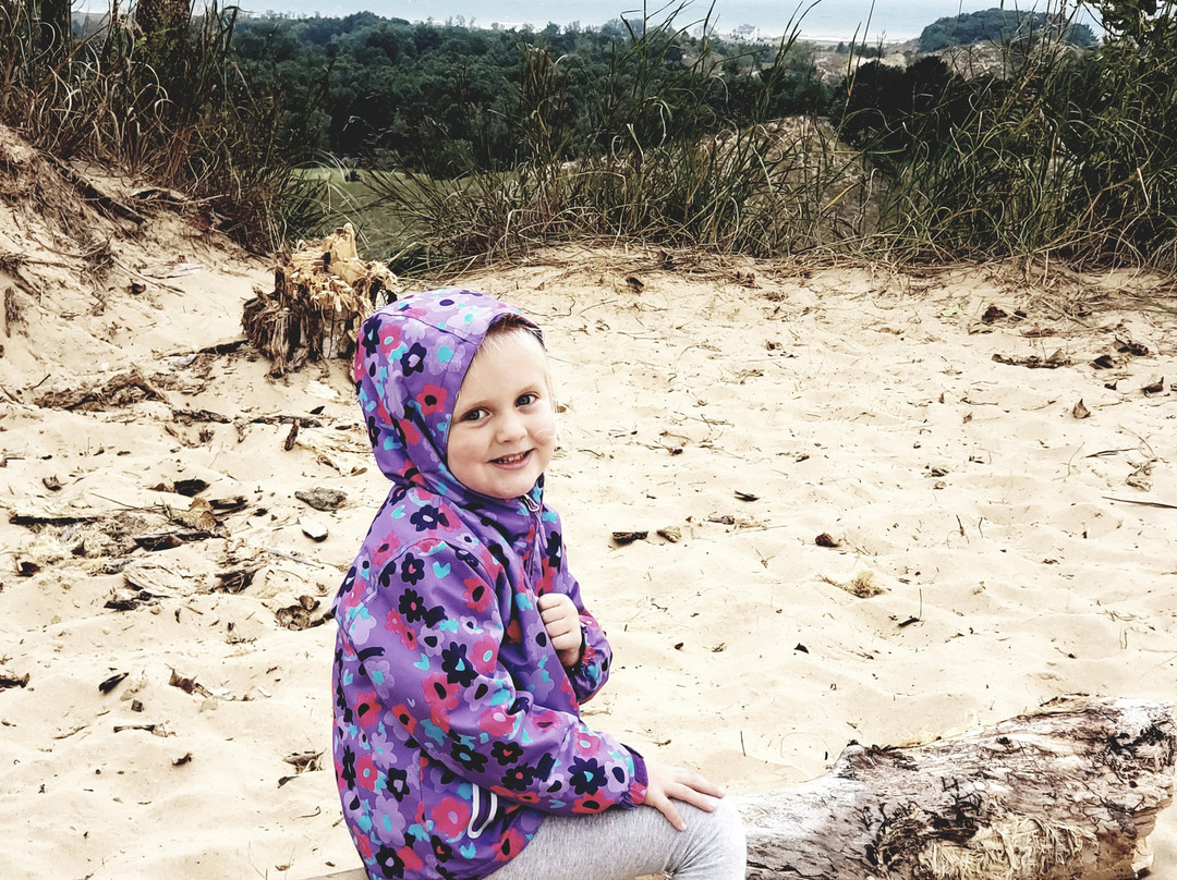 Saugatuck Dune Rides-索格塔克必去景点