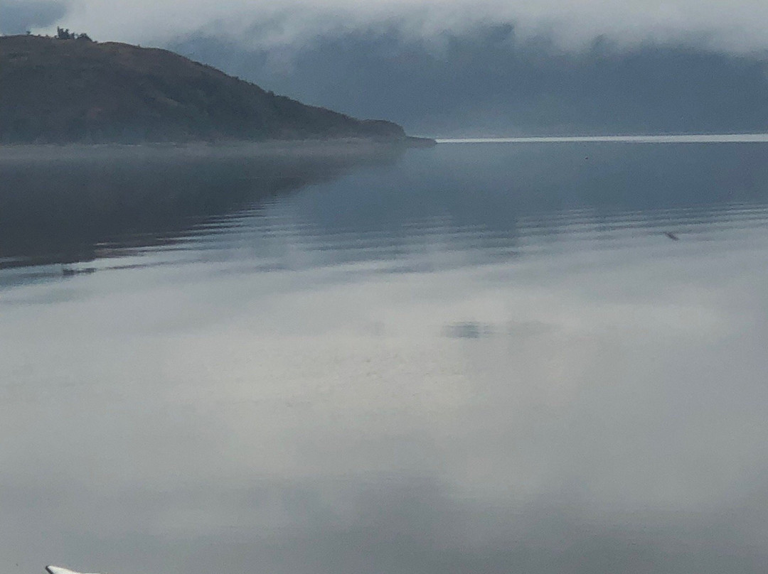 Balmacara Estate and Lochalsh Woodland Walks景点图片