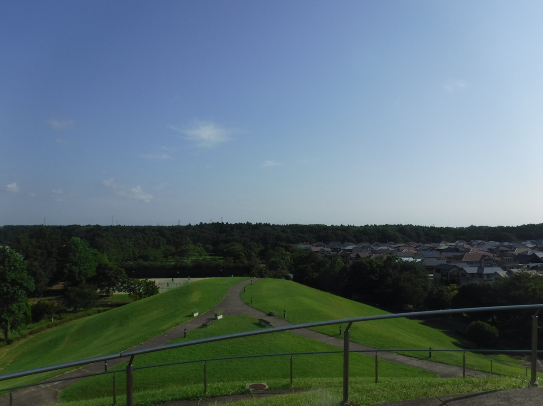 Makinohara Park-印西市必去景点
