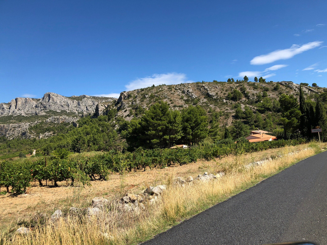 Domaine Vents du Sud景点图片