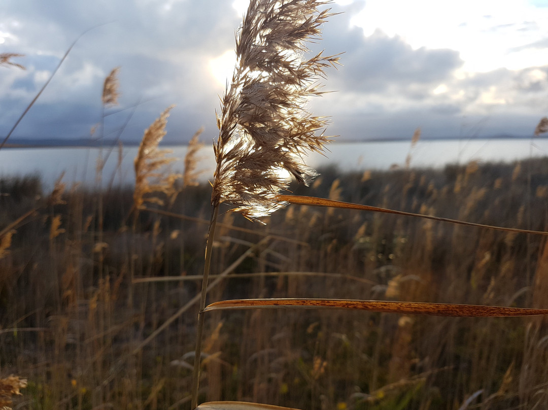 Long Jetty Foreshore Reserve-长码头必去景点