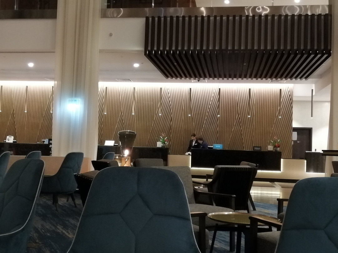DoubleTree By Hilton Moscow - Vnukovo Airport主图