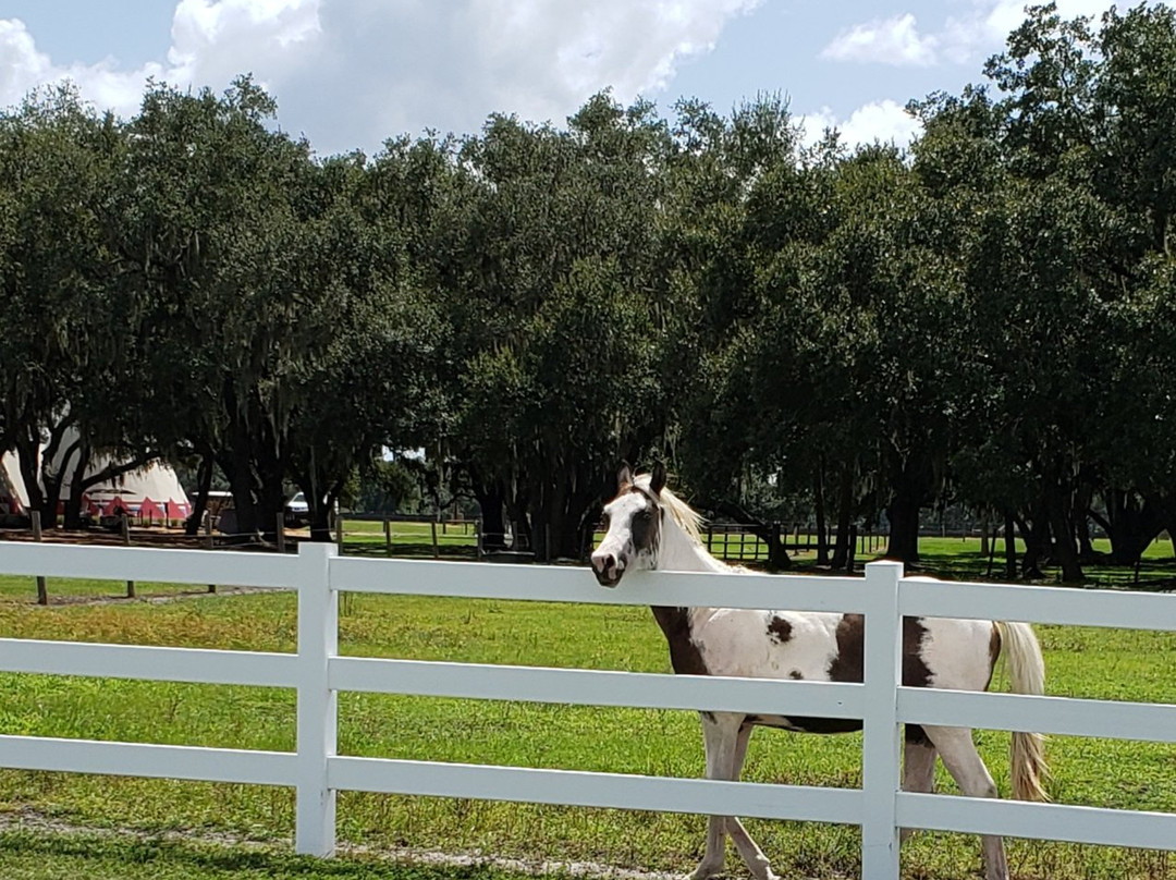 Westgate River Ranch Resort-莱克威尔士必去景点