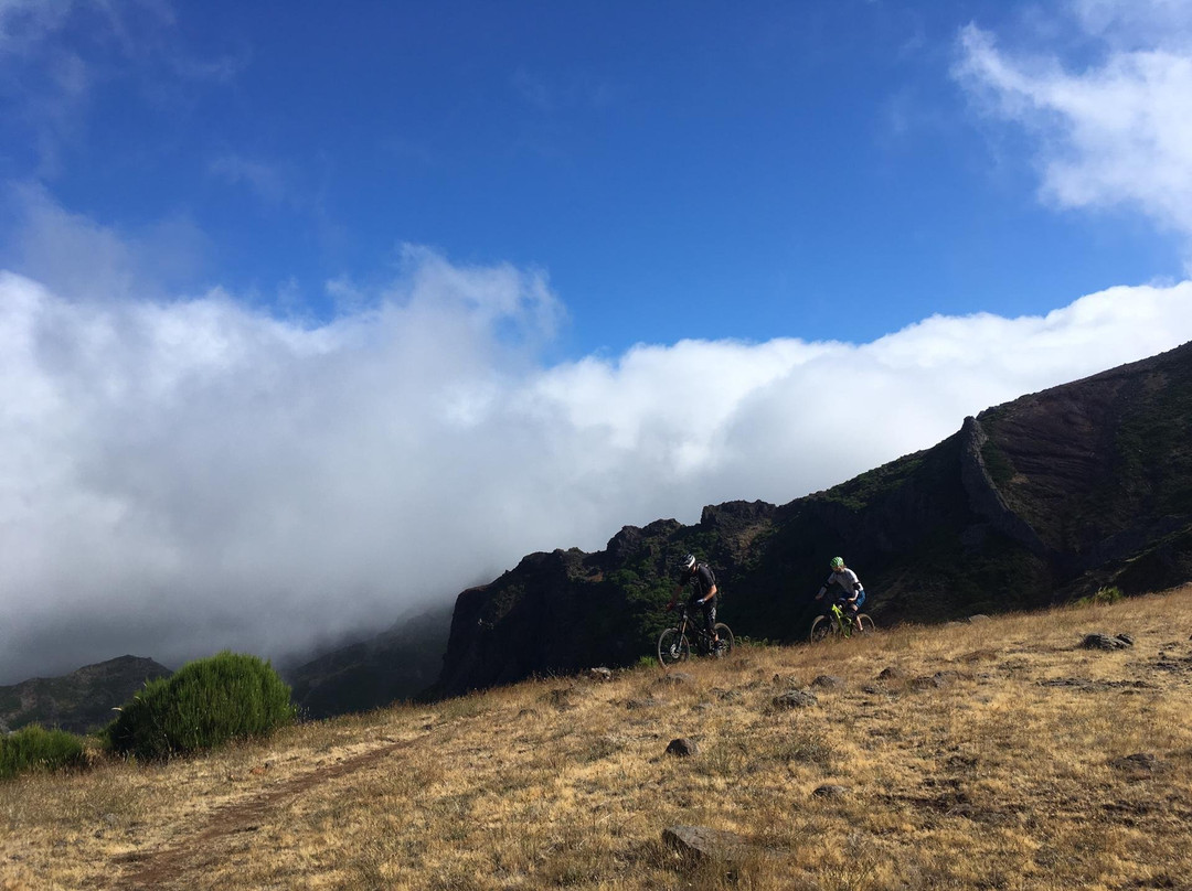 Freeride Mountain Biking Madeira Island-沙尔必去景点