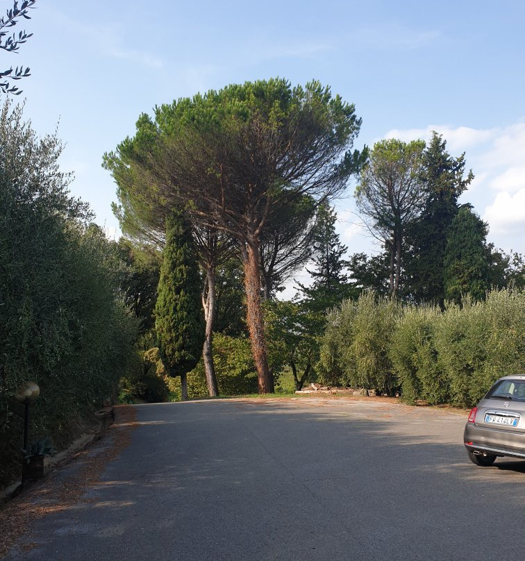 Azienda Agricola Wandanna-Montecarlo必去景点