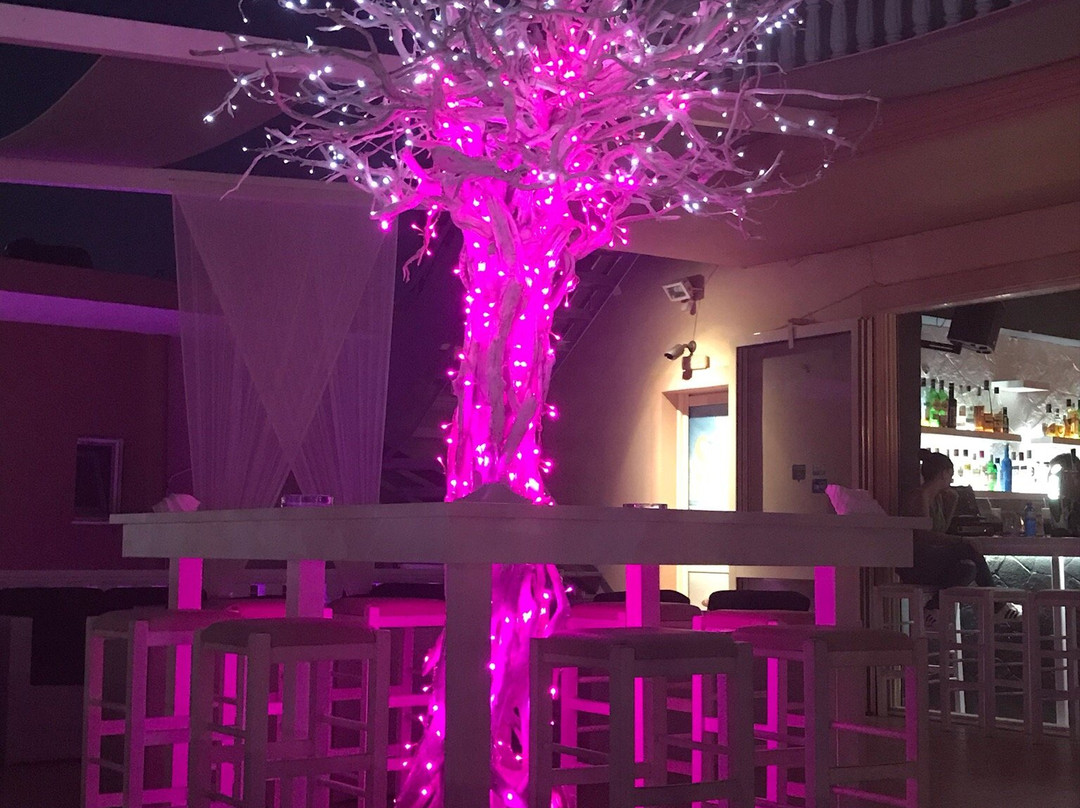 Sea Breeze Roof Cocktail Bar-阿雷克斯必去景点