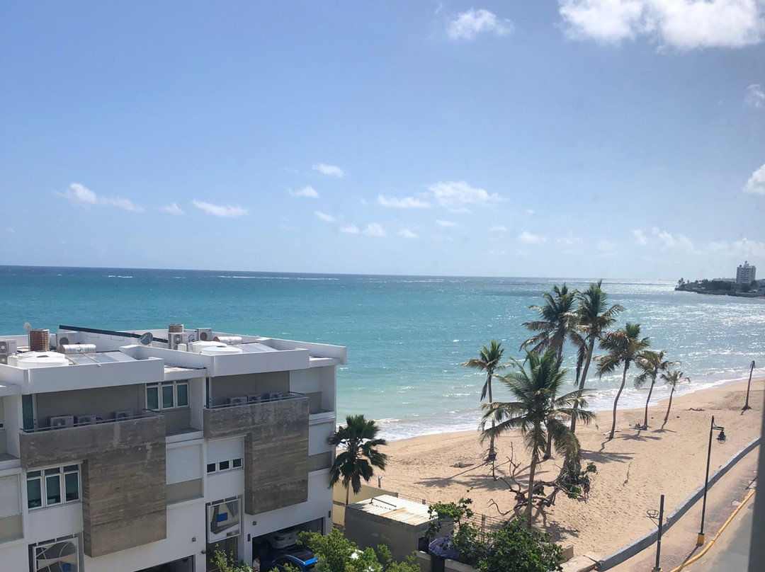 Ocean Park-圣胡安必去景点