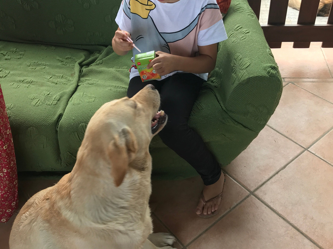 Casato Calabrese主图