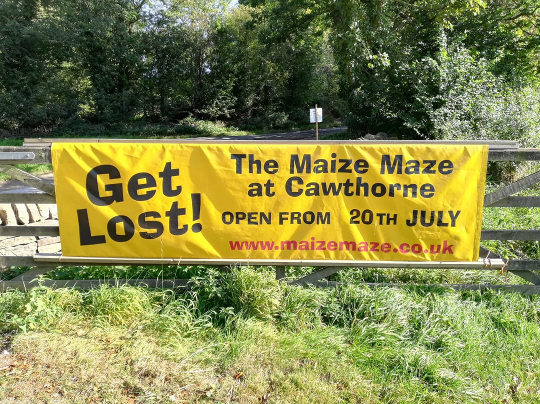 Maize Maze at Cawthorne景点图片