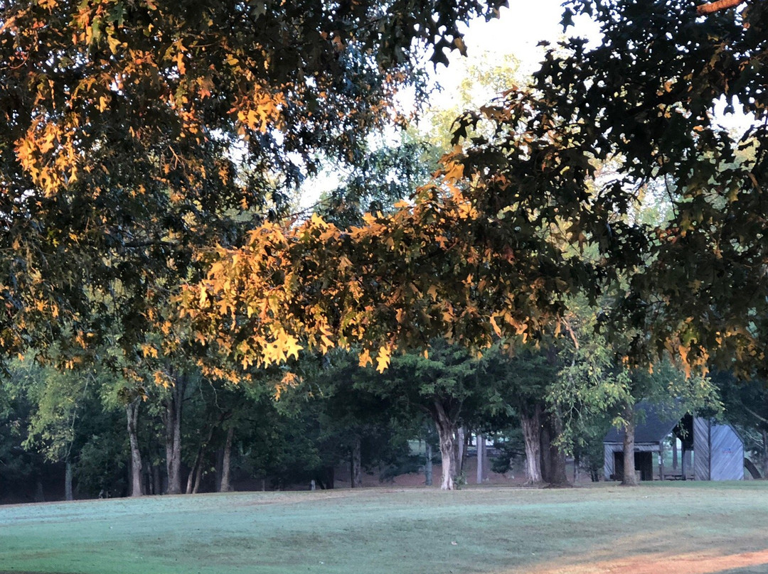 Sharon Johnston Park