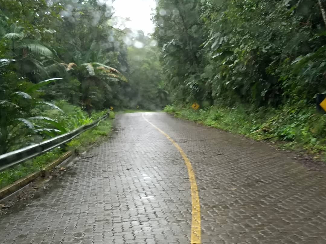 Parque Estadual Carlos Botelho-Sao Miguel Arcanjo必去景点