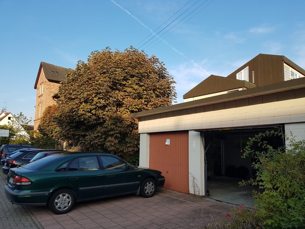 Hotel - Pension Schlossgarten主图