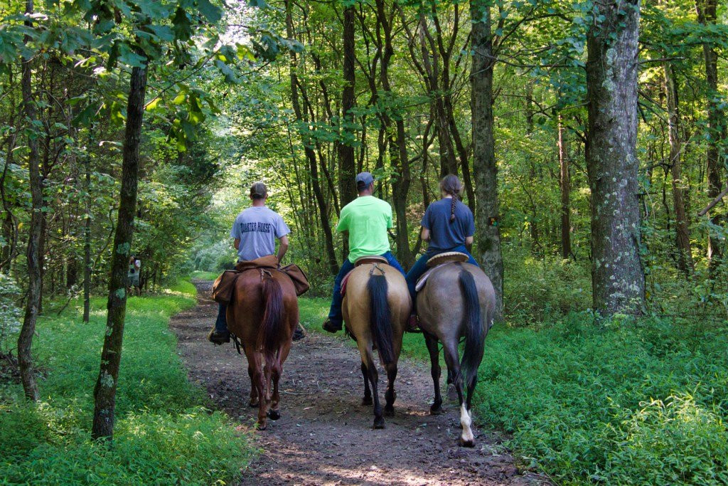 Green River Lake State Park-Campbellsville必去景点