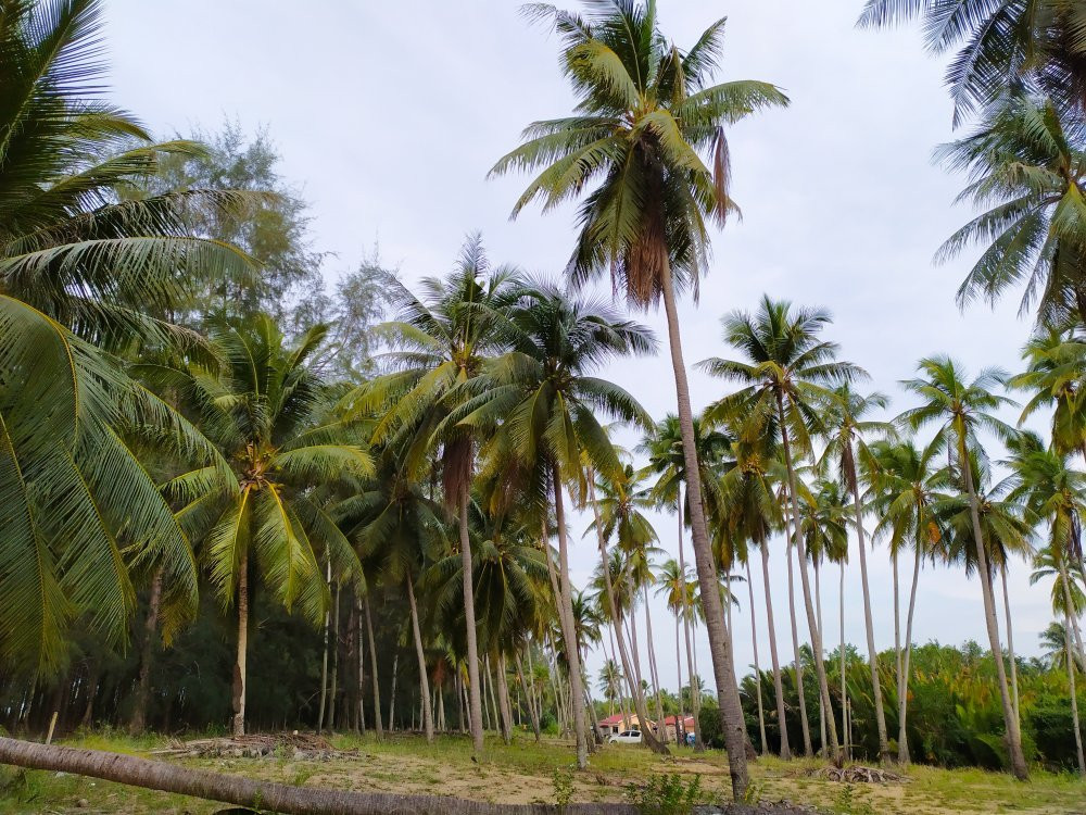 Pantai Kundur-哥打巴鲁必去景点