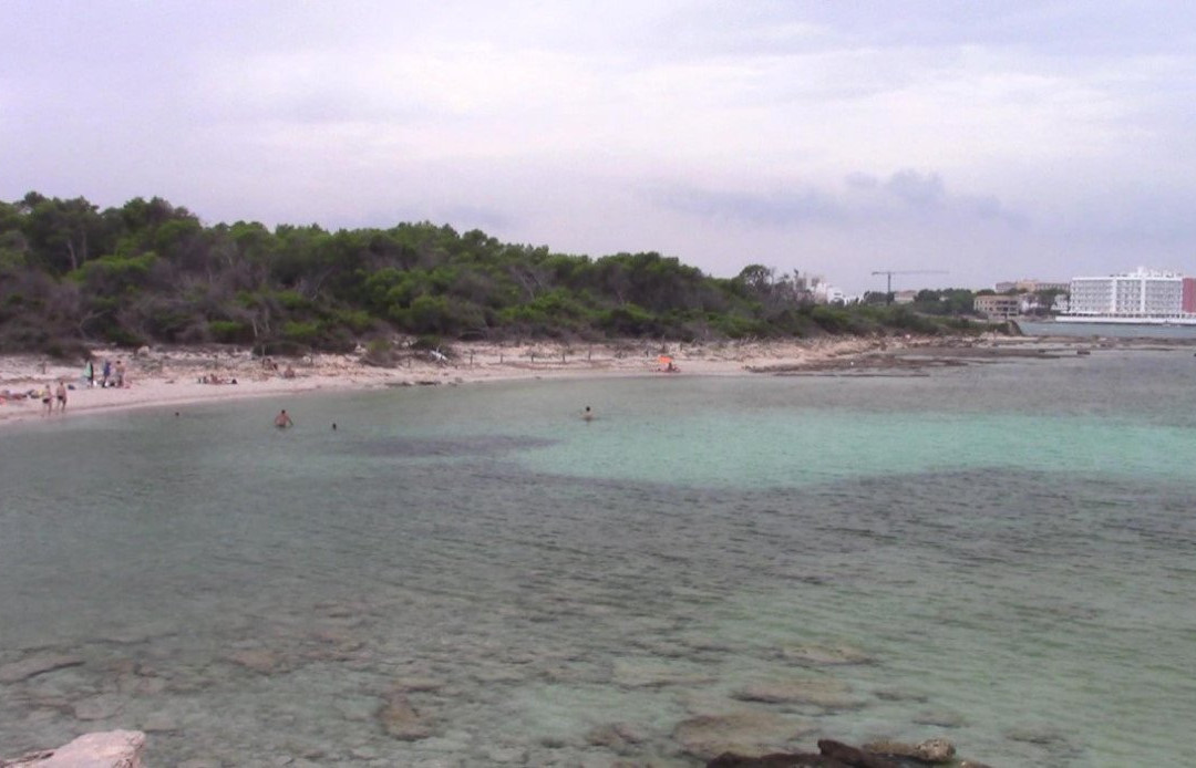 Platja Es Peregons-Campos必去景点