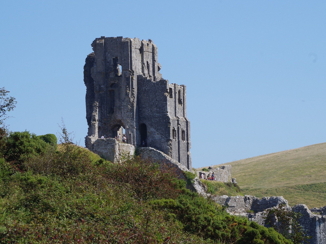 Corfe Castle Dorset Camping