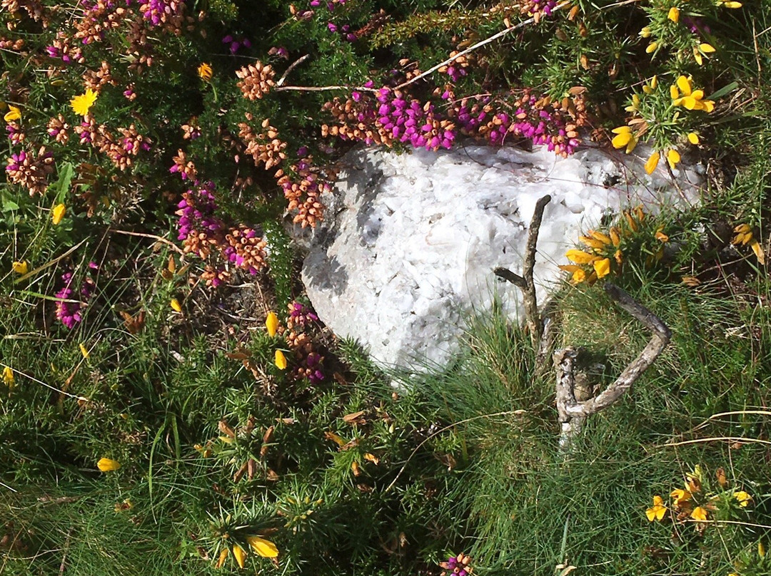 Chapel Carn Brea-Crows-an-Wra必去景点