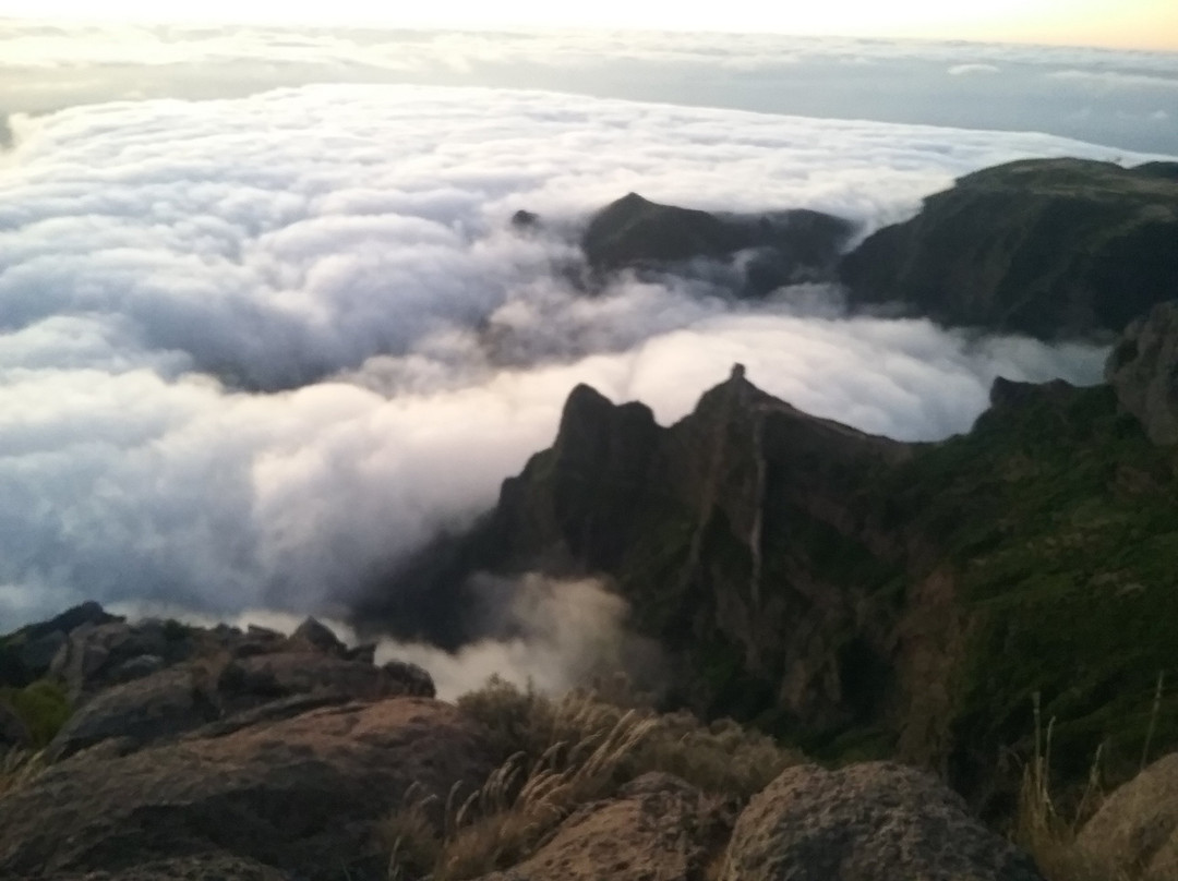 Discovery Island Madeira景点图片