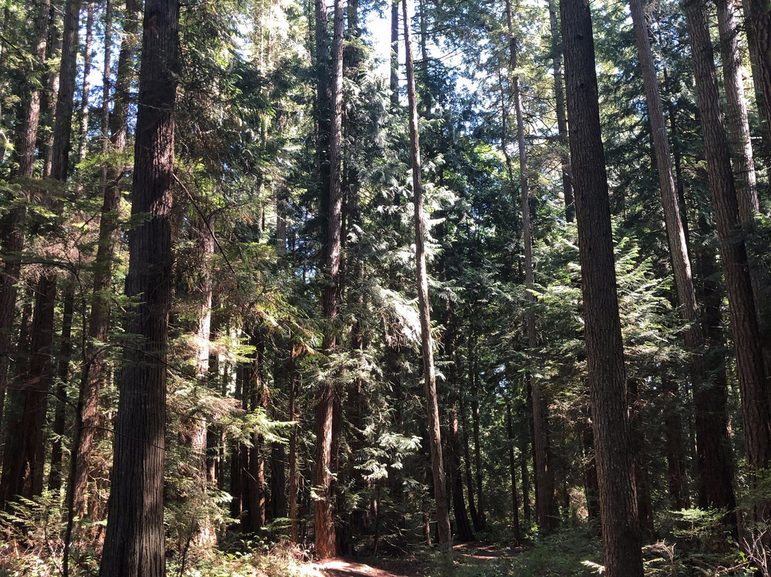 Porpoise Bay Provincial Park-Sechelt必去景点