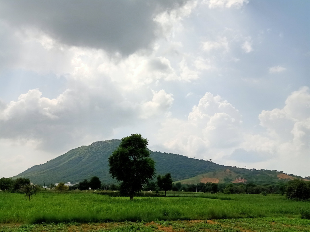 Hotel Divine Palace- Rose Farming & Mountain View